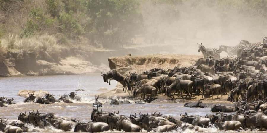 4 DAYS MAASAI MARA NATIONAL RESERVE GROUP SAFARI- 4WD - Day one: Nairobi, the Great Rift Valley, and your first Mara drive