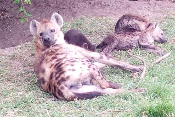 4 Days - Majestic Maasai Mara and Lake Nakuru Safari - What the $2,300 price really covers