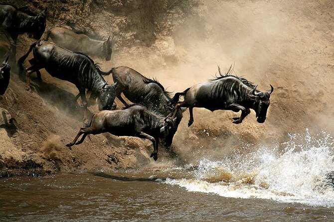 4 Days Masai Mara and Lake Nakuru Budget Safari Meals included - What this four-day safari is really offering