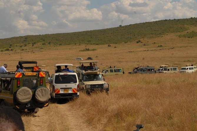 4 Days Masai Mara and Lake Nakuru Budget Safari Meals included - Meals, lodging, and the real value of $336