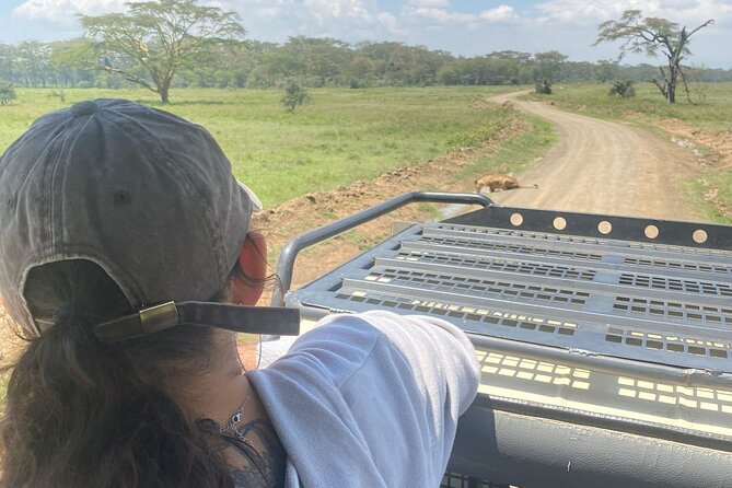 4 Days Masai Mara and Lake Nakuru Mid-Luxury safari - Why this Kenya route works in only four days