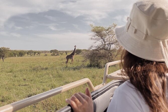 4 Days Masai Mara and Lake Nakuru Mid-Luxury safari - Day 1: Lake Nakuru and the search for rhinos