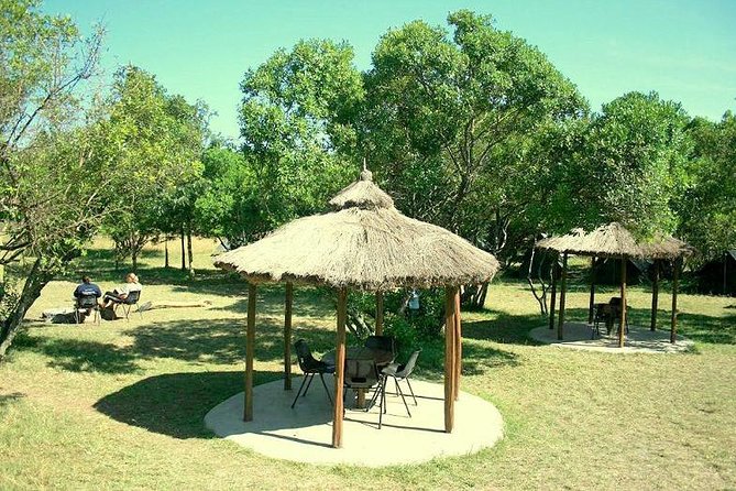 4 Days Masai Mara Camping Safari - Day four: a long return to Nairobi