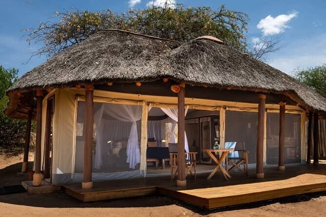 4 Days Masai Mara/Lake Nakuru Budget Safari - Day 4: Rhinos, flamingos, and the return to Nairobi