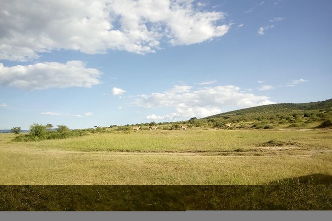 4 Days Masai Mara Nakuru - Why four days works well for the Maasai Mara and Nakuru