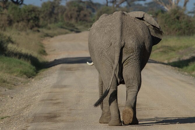 4 Days Masai Mara Nakuru - Comfort, camp expectations, and the road