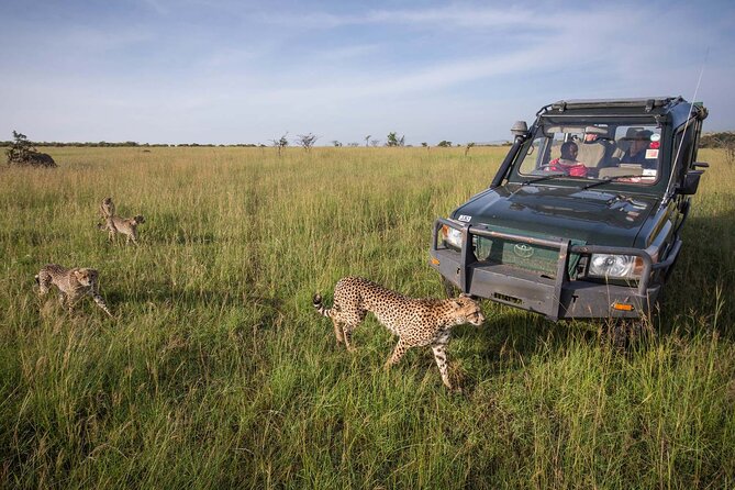 4 Days Mid Luxury Safari, Lake Nakuru and Masai Mara. - The road to Maasai Mara on day two