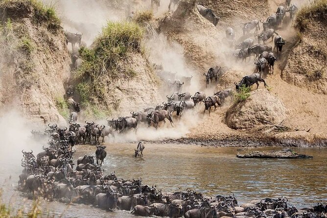 4 Days Mid Luxury Safari, Lake Nakuru and Masai Mara. - What the $2,200 price really covers