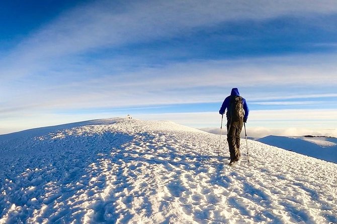 4 Days Mount Kenya Trekking - From Old Moses Camp to Shipton Camp