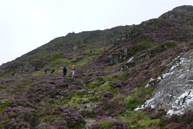 4 Days Mount Kenya - Why the Chogoria to Sirimon route works so well