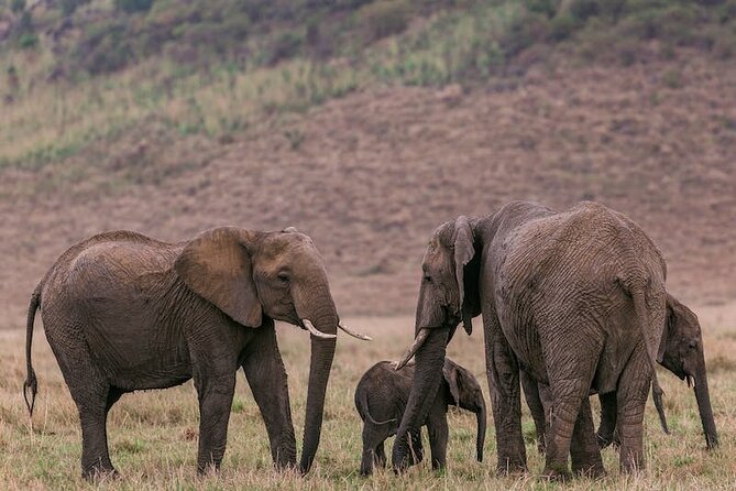 4 Days of Untamed Beauty: An Unforgettable Masai Mara Road Safari - Reaching the reserve from Nairobi