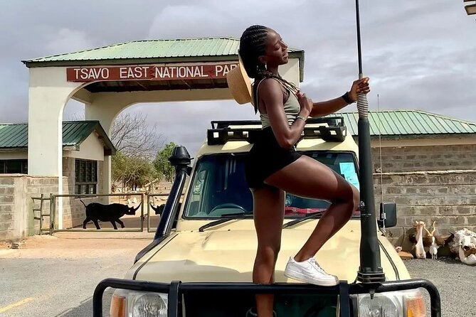 4 Days Private Safari Tour Tsavo and Amboseli from Nairobi - Why a private vehicle changes the experience