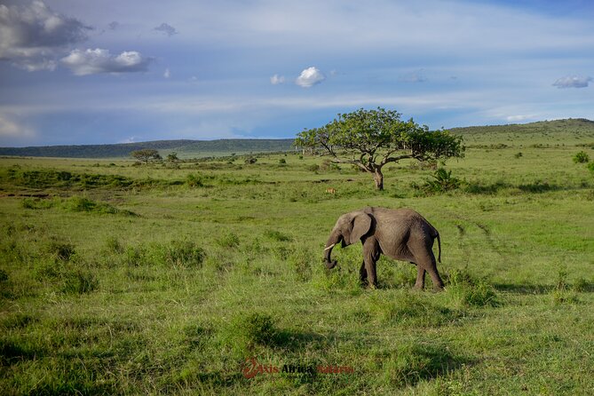 4 Days Safari Adventure Masai Mara and Nakuru Park Group - Day one: Nairobi to Masai Mara with a Rift Valley stop