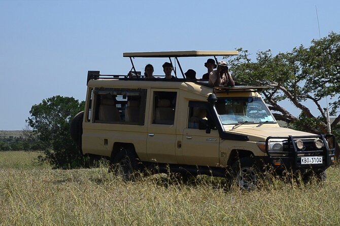4 Days Safari Lake Nakuru NP Naivasha and Masai Mara - Lodging, meals, and comfort choices