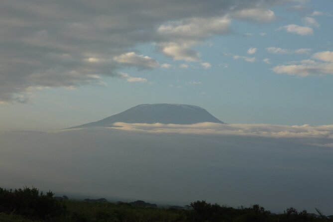 4 Days Safari to Amboseli N/P, Tsavo East N/P. - Day 4: Sunrise wildlife, then on to the coast