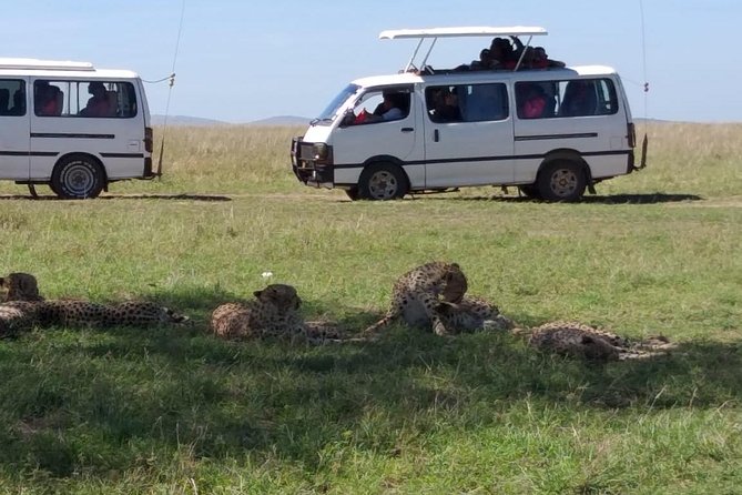 4 Days Small Group Maasai Mara and Lake Nakuru Safari - The safari vehicle and group setup