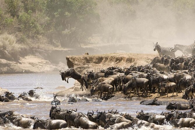 4 Days Tour Landcruiser in Masai Mara and Lake Nakuru - Why the Masai Mara is the heart of this safari