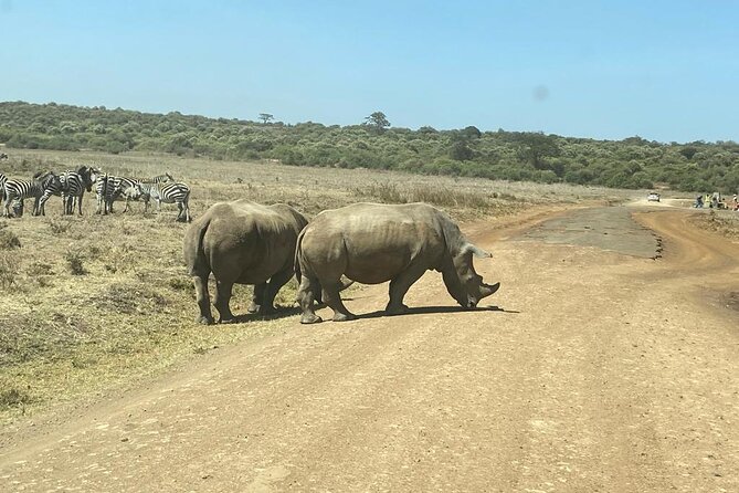 4 Days Tour Landcruiser in Masai Mara and Lake Nakuru - The optional Maasai village visit on day three
