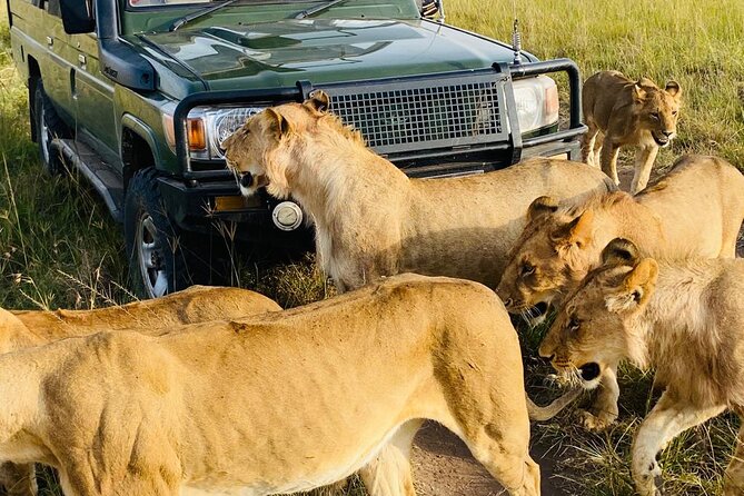 4 Days Tour Landcruiser in Masai Mara and Lake Nakuru - What the $360 price really covers