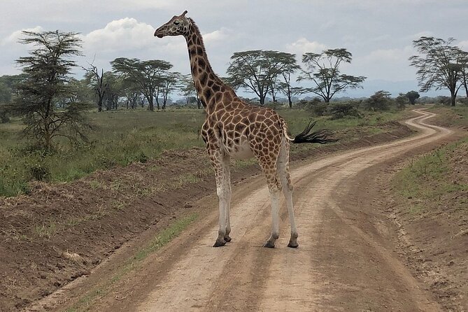 4day Maasai Mara, Lake Nakuru, and Lake Naivasha - What the $1,750 price really covers