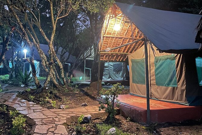 4day Maasai Mara, Lake Nakuru, and Lake Naivasha - The practical side of a four-day safari