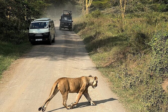 4day Maasai Mara, Lake Nakuru, and Lake Naivasha - Who will enjoy this route most
