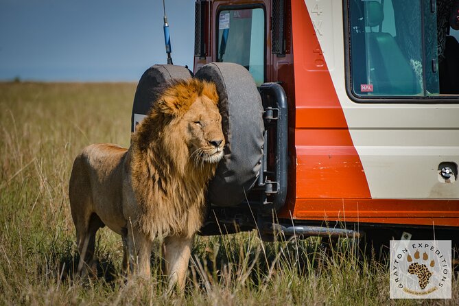 5-Day 4 Nights Masai Mara-L Nakuru-Hell's Gate Budget Safari - Day 1: From Nairobi to the first Masai Mara game drive