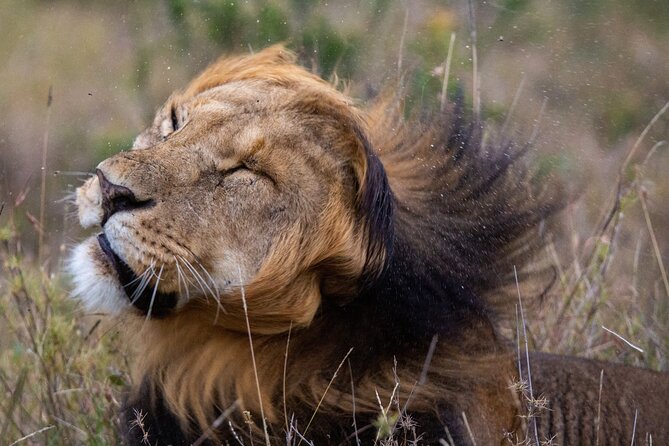 5-Day Lakes and Masai Mara Plains 4 x 4 Safari - Day 2: Rhino country at Lake Nakuru National Park