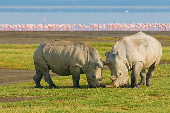 5-Day Masai Mara Lake Nakuru and Naivasha Small-group Safari Tour - Day five: walking, biking, and hot springs at Hells Gate