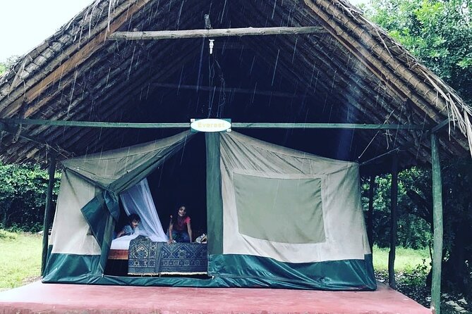 5-Day Safari in Maasai Mara, Lake Nakuru and Naivasha - Private tent camping in the Mara