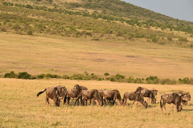 5-Day Safari in Maasai Mara, Lake Nakuru and Naivasha - The long transfer to Lake Nakuru