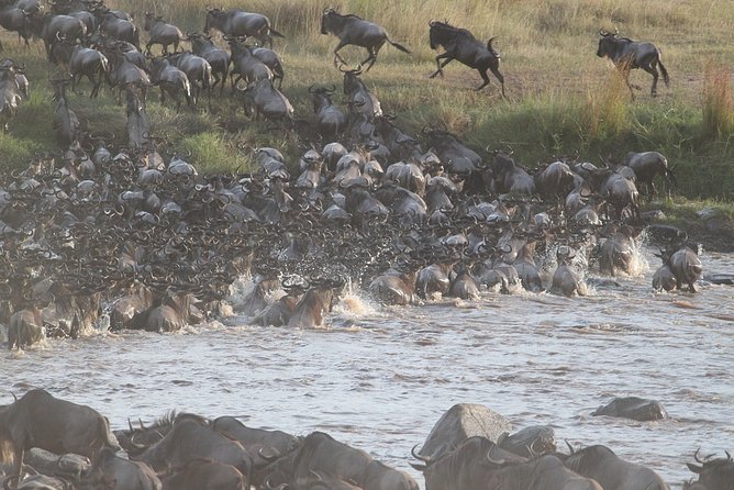 5 Days/4 Nights Kenya Safari - Why this Kenya route works
