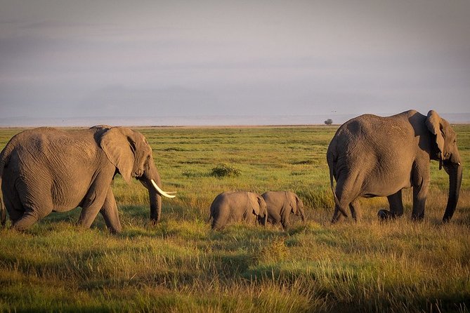 5 Days/4 Nights Kenya Safari - Day 3: Rift Valley scenery, Lake Naivasha, and Nakuru
