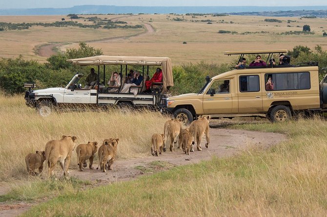 5 Days/4 Nights Kenya Safari - Day 4: Lake Nakuru birds and the road toward Amboseli