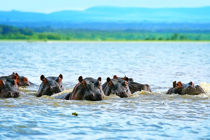 5 Days Hell's Gate, L. Naivasha, L. Nakuru & Masai Mara Luxury Safari - Four parks and lakes in one tightly planned safari