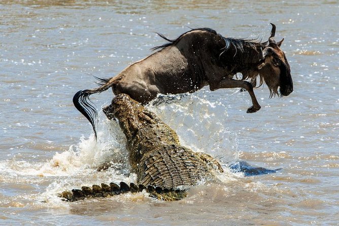 5 Days Hell's Gate, L. Naivasha, L. Nakuru & Masai Mara Luxury Safari - Day three: crossing to Maasai Mara