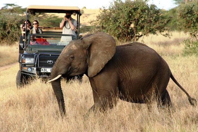 5 Days Kenya Masai Mara and Lake Nakuru Private Tour - Day 3: More Mara plains and a change of camp