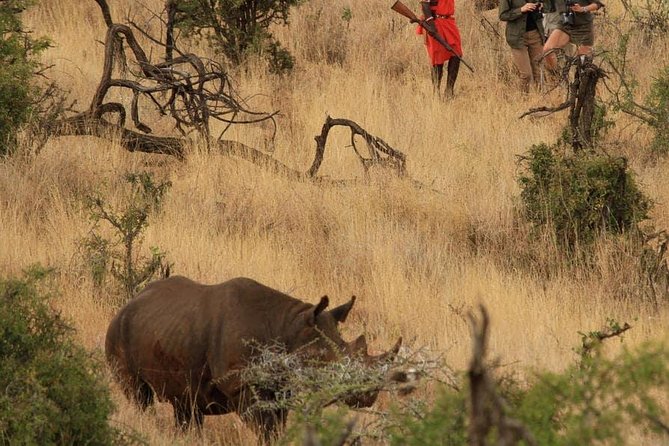 5 Days Kenya Masai Mara and Lake Nakuru Private Tour - Day 5: A final Nakuru drive and return to Nairobi