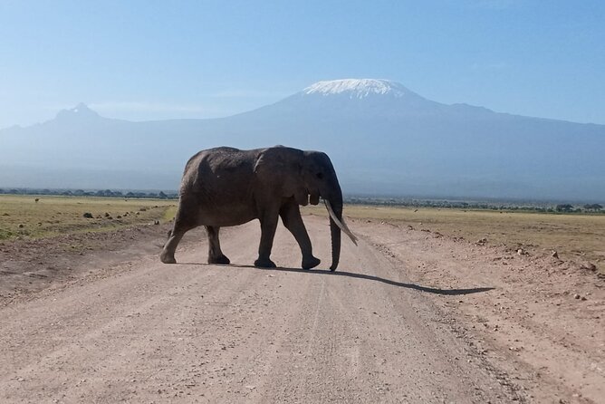 5 Days Lake Naivasha, Lake Nakuru, & Masai Mara - Day 1: Rift Valley views and Lake Naivasha activities