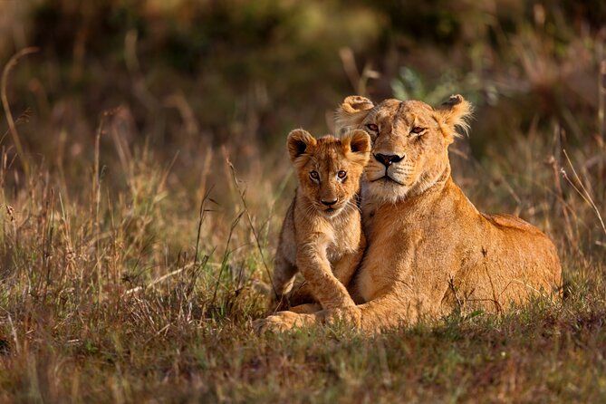 5 Days Masai Mara, Lake Nakuru & Naivasha Budget Joining Safari - Day 5: Hells Gate and the return to Nairobi