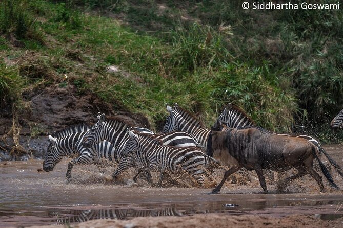 5 days Masai Mara Wildebeest migration safari - Day 2: From Nairobi to the Masai Mara