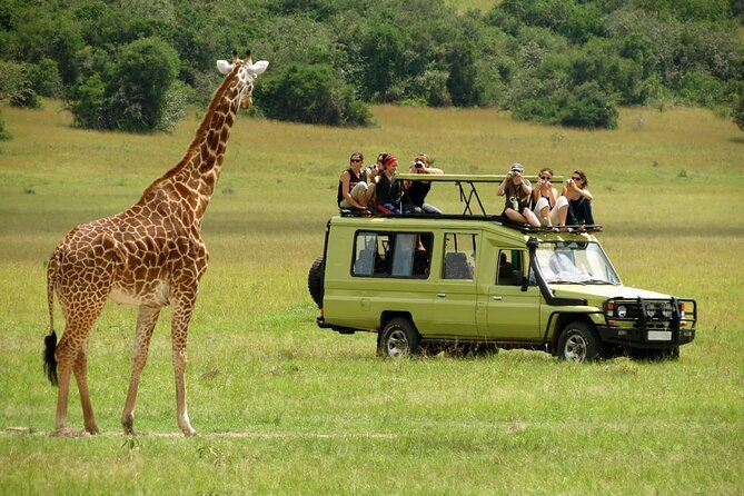 5 Days Mombasa,Tsavo East, Taita Salt Lick, Tsavo West, Amboseli, - Day 4: Mzima Springs and Amboseli below Kilimanjaro