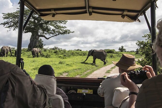 5 Days Mombasa,Tsavo East, Taita Salt Lick, Tsavo West, Amboseli, - Day 1: Tsavo East and the red-earth safari