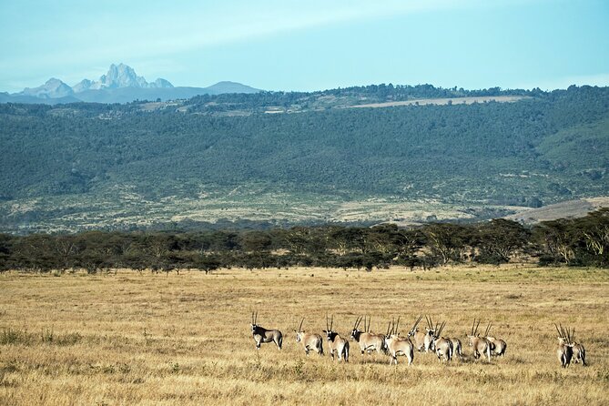 5 Days Mount Kenya Climbing Via Chogoria Sirimone Route - Day three: ridge walking to Mintos at 4,200 meters