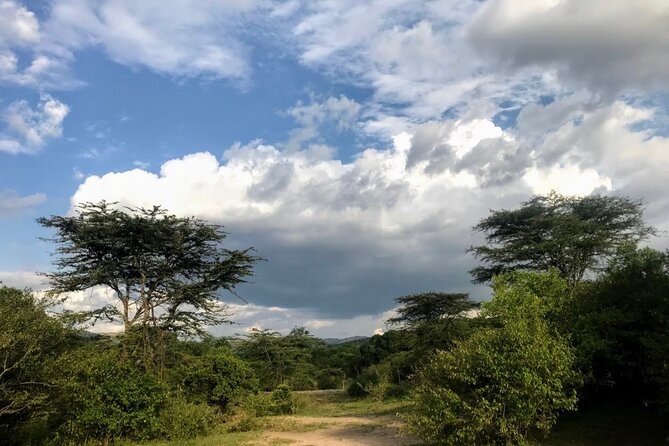 5 Days Mt. Kenya Sirimon route out Chogoria Route with Peak Circuit - Meals, camping, and the support team