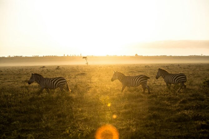 5 Days of Kenyan Magic: A Whirlwind Safari Adventure - What the $1,800 price really covers