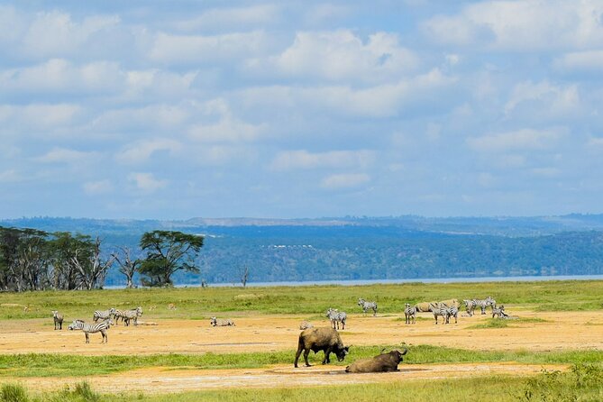 5 Days of Kenyan Magic: A Whirlwind Safari Adventure - The guide and group setup