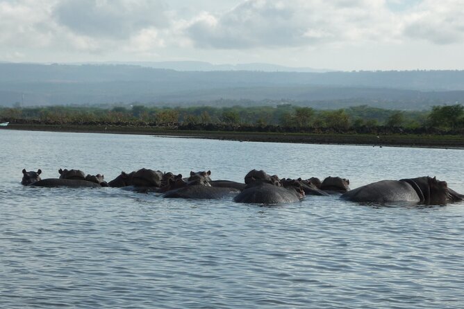 5 Days Safari to Amboseli N/P, Lake Naivasha, Maasai Mara N/R. - Why this five-day route works