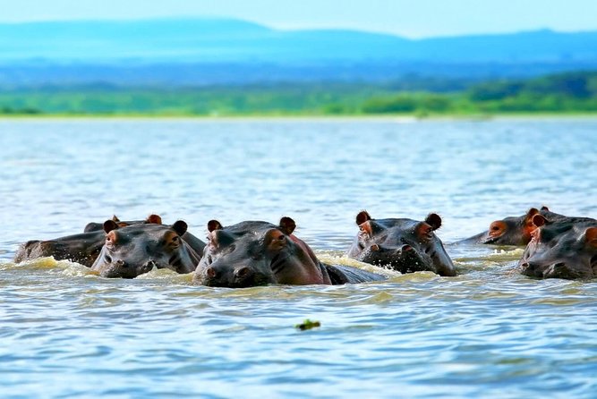 5 Days safari to Maasai Mara ,Lake Nakuru and Hell's gate national park - Key points to know before booking
