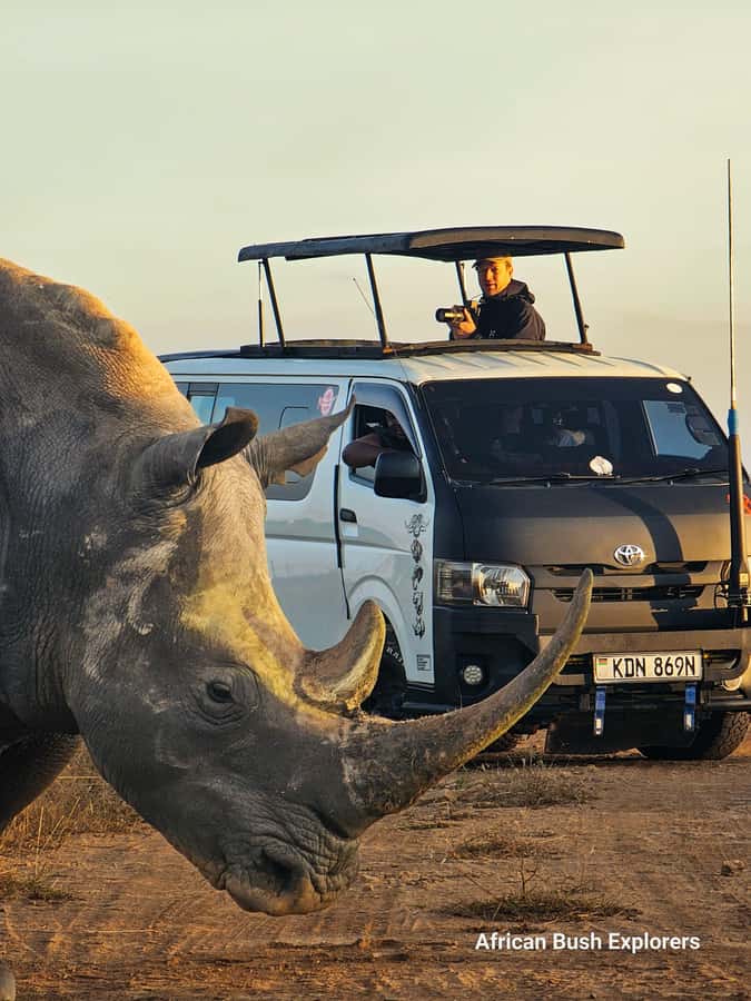 5-Hour Nairobi National Park 4x4 Safari with Free Pickup - Key points to know before booking